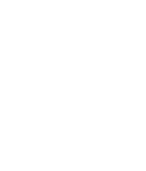 light logo